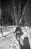 1982-01 BWCA Winter Camp Class 212.jpg (465265 bytes)