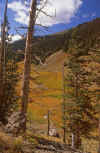 1980-09 Rocky Mtn NP 006 Grand Park.jpg (262036 bytes)