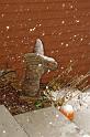 13-Nov-2010_Snow_4