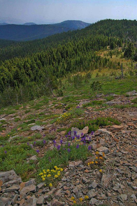 Lookout_Mtn_07.JPG