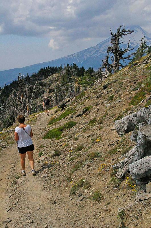 Lookout_Mtn_08.JPG