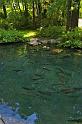Fish_Ponds_03