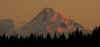 IMGP7923.jpg (79052 bytes)