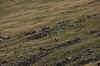 IMGP4872_50.jpg (551155 bytes)