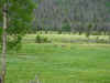 IMG_2317.jpg (275510 bytes)