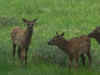 IMG_7929_50.jpg (218814 bytes)