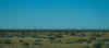 IMG_3393_50.jpg (82574 bytes)