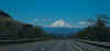 IMG_3447_50.jpg (95367 bytes)