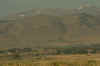IMGP6095_50.jpg (201174 bytes)