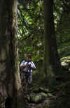 Jim_Trees.jpg (707378 bytes)