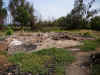P8060696.jpg (756613 bytes)