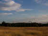P8131276.jpg (265650 bytes)