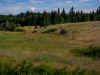 P6250010.jpg (584274 bytes)