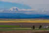 P6270114.jpg (248592 bytes)