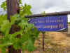P6270147.jpg (362234 bytes)