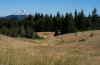 P7180945.jpg (408402 bytes)