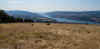 P7281497.jpg (313241 bytes)