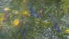 P8030307.jpg (322527 bytes)
