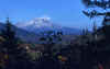 1953-11 Northern CA Mt Shasta  310.jpg (214992 bytes)
