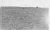 Blilie Farm Between Ogema and Prentice WI 2.jpg (86007 bytes)