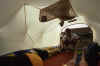 RWT 0001 T05-31 Hawaii Inside Tent Shot.jpg (479953 bytes)