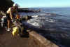 RWT 0007 T09-20 Hawaii.jpg (798405 bytes)