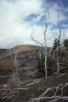 RWT 0014 002-36 Hawaii Kilauea.jpg (726364 bytes)