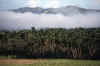 RWT 0020 006-08 Fiji.jpg (679591 bytes)