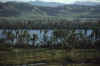 RWT 0021 006-09 Fiji.jpg (661634 bytes)