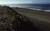 RWT 0022 006-12 Fiji Beach.jpg (557781 bytes)