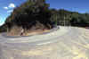 RWT 0029 016-08 New Zealand.jpg (976144 bytes)