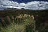 RWT 0032 022-29 New Zealand Tongariro NP.jpg (767330 bytes)