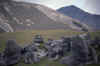 RWT 0039 034-08 New Zealand.jpg (617183 bytes)