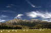 RWT 0041 037-34 New Zealand.jpg (563726 bytes)