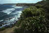 RWT 0065 071-10 Australia Vic Coast.jpg (729700 bytes)
