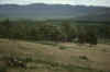 RWT 0068 075-03 Australia Tazzie.jpg (640310 bytes)