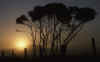 RWT 0071 078-07 Australia Tassie Sunrise.jpg (411735 bytes)
