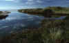 RWT 0072 079-27 Australia Tazzie E Coast.jpg (594859 bytes)