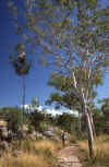 RWT 0096 097-20 Australia Katherine Gorge 2.jpg (1027872 bytes)