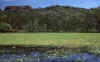 RWT 0098 098-26 Australia Kakadu NP.jpg (778794 bytes)