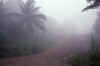 RWT 0109 109-04 Malaysia.jpg (544578 bytes)