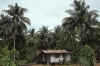 RWT 0112 110-33 Malaysia.jpg (873305 bytes)