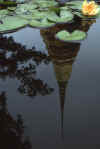 RWT 0126 124-21 Thailand Lotus Reflection.jpg (451440 bytes)