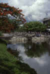 RWT 0128 126-11 Thailand Chiang Mai.jpg (674688 bytes)