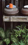 RWT 0135 130-30 Thailand Still Life.jpg (563308 bytes)
