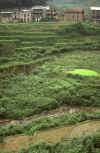 RWT 0147 141-24 Nepal.jpg (938132 bytes)
