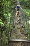 RWT 0154 146-12 Nepal Shaky Bridge.jpg (815140 bytes)