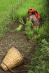 RWT 0156 148-11 Nepal Red Turban.jpg (926867 bytes)