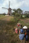 RWT 0221 248-31 Netherlands Windmill.jpg (796591 bytes)