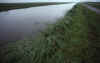 RWT 0222 249-20 Netherlands Flatness.jpg (622145 bytes)